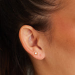 Gold Zirconia Stud Earrings